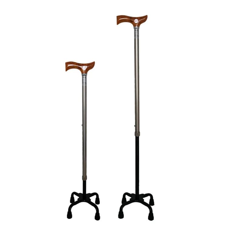 Multi-Leg Walking Stick