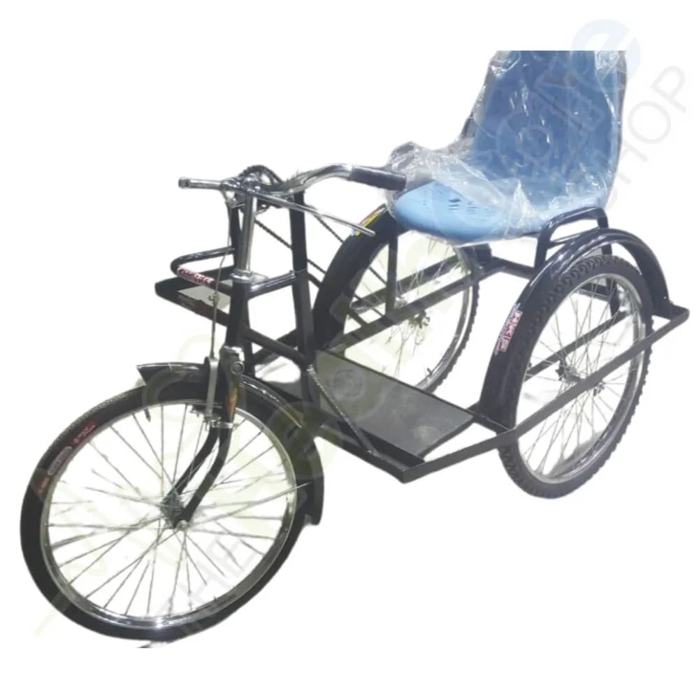 Handicap Tricycle with Plastic Seat – Hand-Driven Mobility Aid